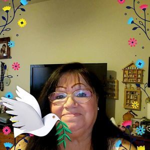 Meet your Posher, Judy